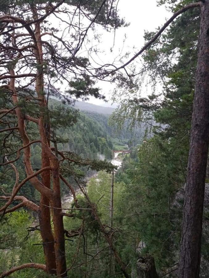 Лісова Казка Yaremche Exterior foto