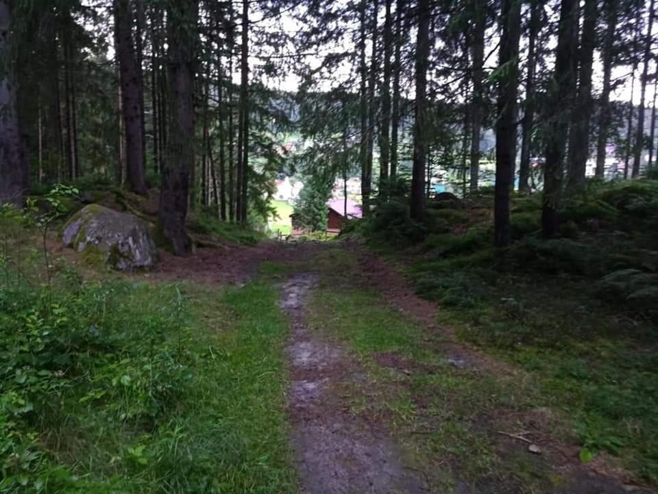 Лісова Казка Yaremche Exterior foto