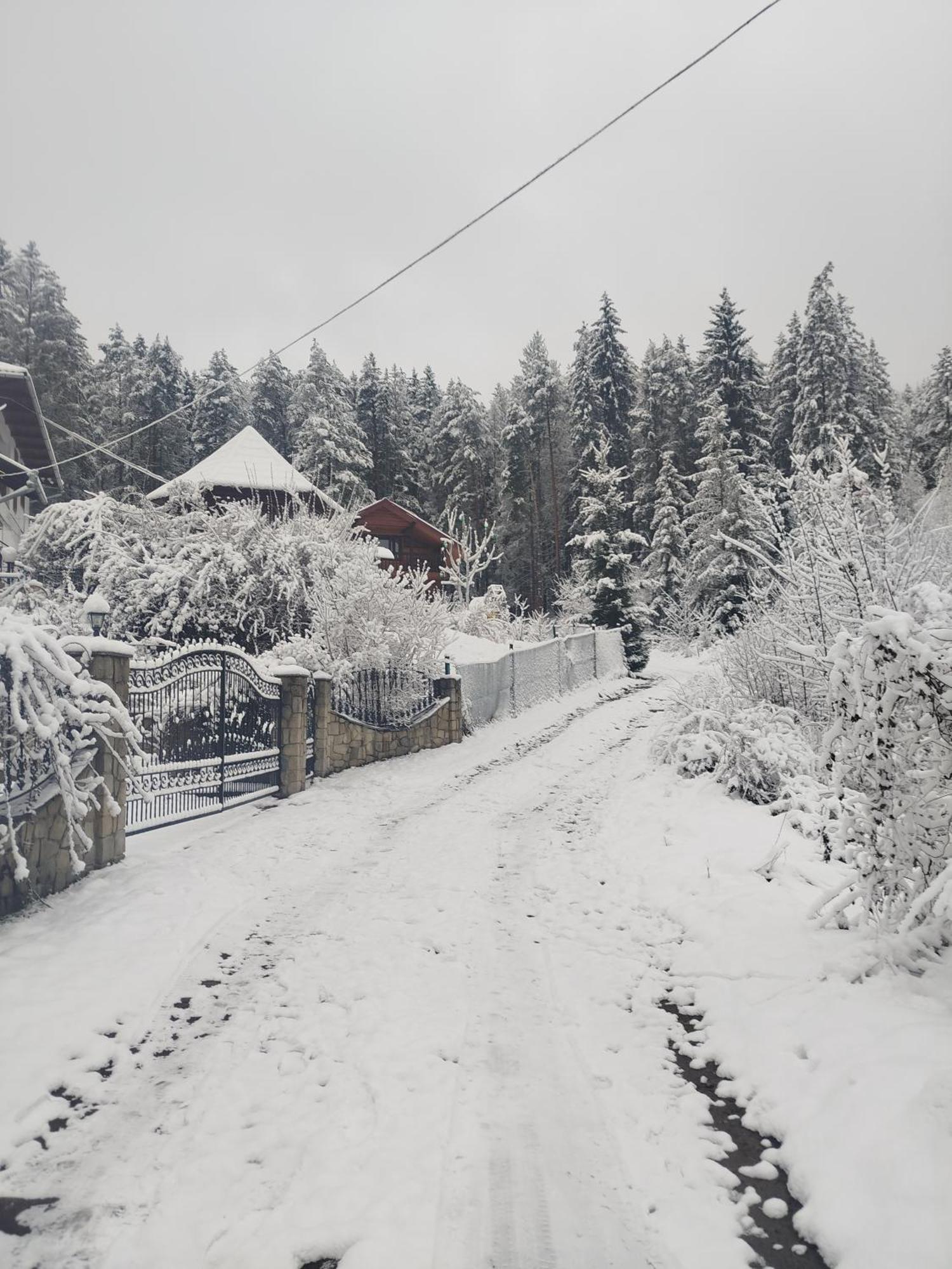 Лісова Казка Yaremche Exterior foto